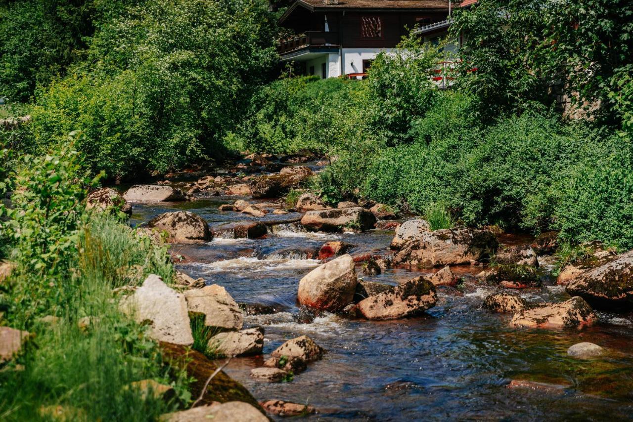 Hotel Villa Bodeblick Schierke Exteriör bild